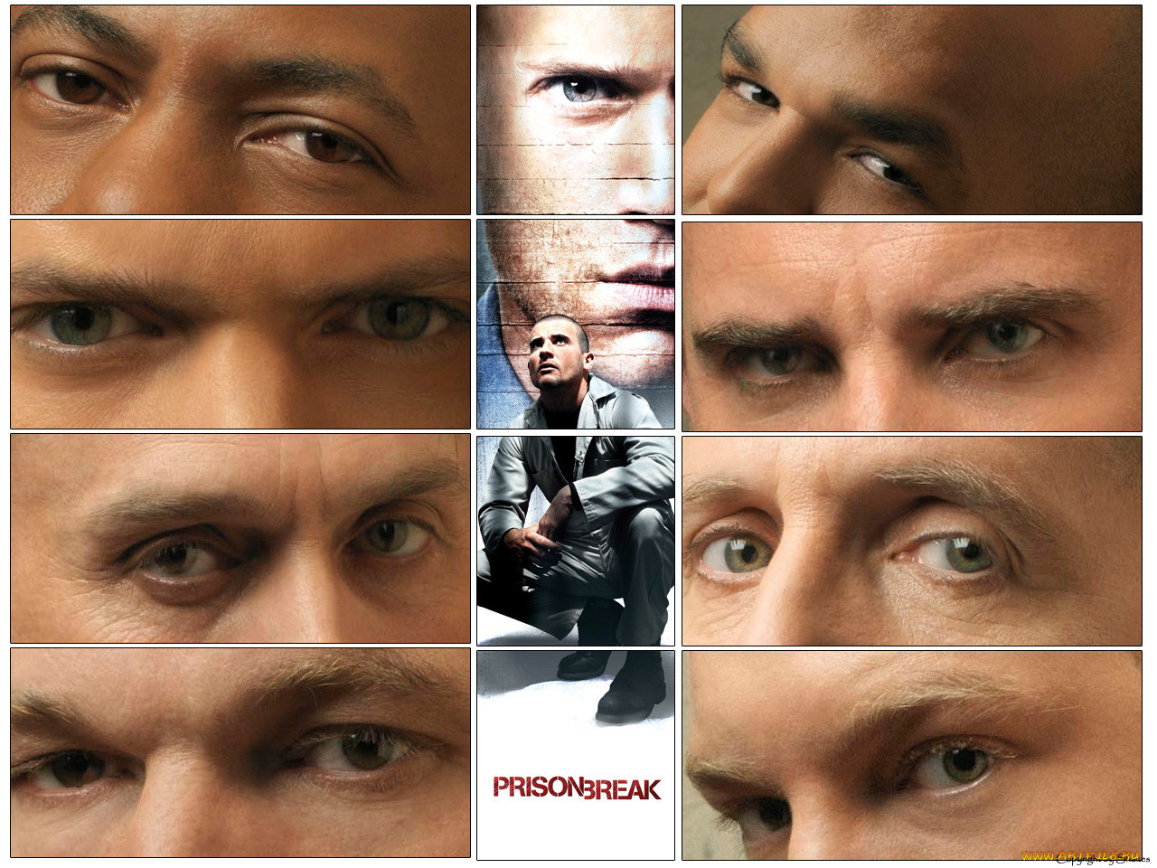 , , prison, break